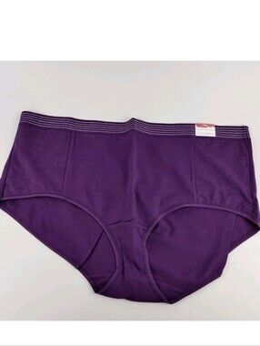 Lot of 4 Lane Bryant Cacique Purple & Silver Cotton Full Brief Size 22/2…